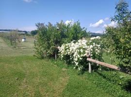 Agriturismo Il Cipresso, hotel in Vada