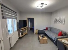 Modern House