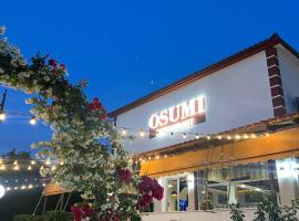 Guesthouse Osumi, hotel v destinaci Berat