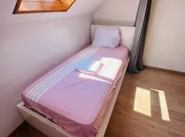 Lit Style Dortoir dans un Maison