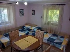 Lovely studio in Dragoman with garden and garage