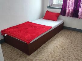 Budget Backpacker's Hostel, povoljni hotel u gradu Lalitpur