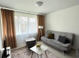 Radvilų apartamentai، شقة في Radviliškis