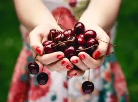 Casa Rural Arbequina - Naturaleza y Calma en el Valle del Ambroz