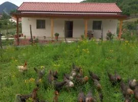 Shpija E AMEL (Sweet Guest House)