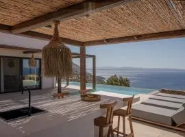 ArtOikia Luxury Villas, By Hellocrete