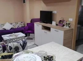 Stan na dan Danijela