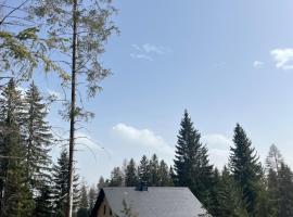 Almhaus Murtal Zirbenland, hotel v destinaci Obdach