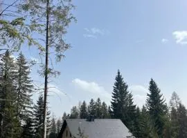 Almhaus Murtal Zirbenland