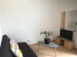 Studio avec terrasse privative de 20 m carré