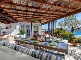 Villa La Paloma、スコペロスのペット同伴可ホテル
