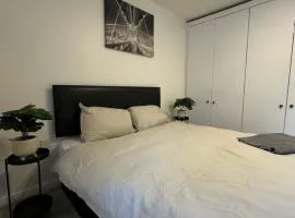 Spacious 3 bedroom Home, with private driveway 5 minutes from Excel Centre & Custom House