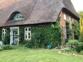Gemütliche Wohnung im alten Bauernhaus