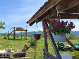 Apartmani Feliks