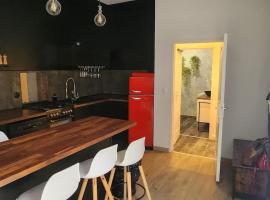 Charmant appartement cosy en hyper-centre, hotel que admite mascotas en Tours