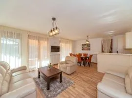 Silver Pine Apartments Kolasin