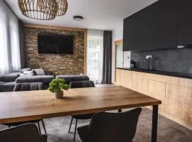 Luxusní Apartmán Domovjanka - SKALKA FAMILY