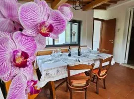 Guest House Fantaccini