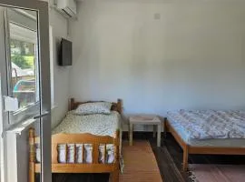 Apartman Knežević Banja Vrujci