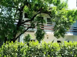 Felix Apartment Biograd