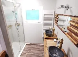 Chalet - gîte avec étang