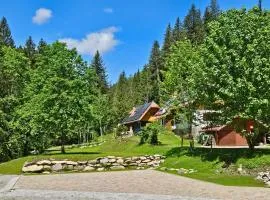 POHORJE HOUSE Rogla 2