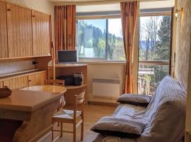 Studio Cosy au pied des pistes 150m & Loggia Vue Montagne, hotell i La Bresse