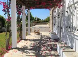 Villa Alexandros