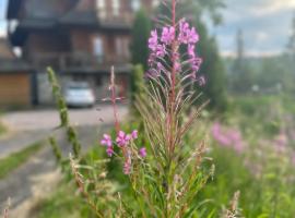 Willa Alta, hotel v destinaci Tatranská Bukovina
