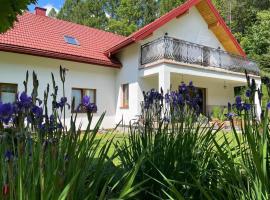 Zakątek Słoneczny pod Baranią Górą, farm stay in Kamesznica