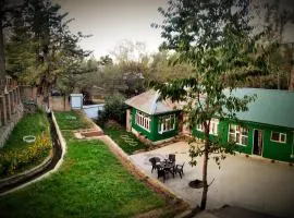 Serene Stay Villa by Doctors
