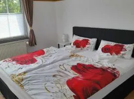 Ferienwohnung im FEWO Rosenhaus Volz