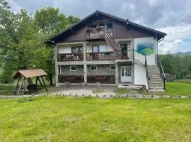 Casa Piscul Verde Vladeni