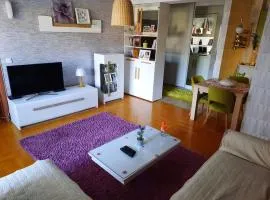 Sweet Cozy Apartment