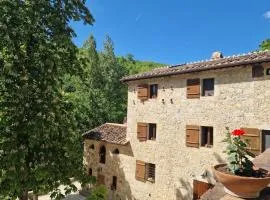 Molino di Cogno