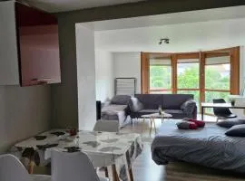 Joli studio une pièce 15min à pied centre dEpinal 4 personnes grâce au canapé lit, parking privé gratuit et parking extérieur gratuit Machine à laver TV wifi machine à café linge de lit et serviettes fournis