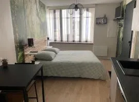 Studio laita