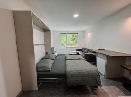 Apartment Ski and Relax – apartament w mieście Ostrov