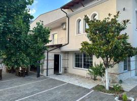 Hotel Tepelena, hotel v destinaci Tepelenë