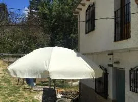 Mejorana
