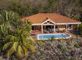 Villa Cap Sud, piscine, vue mer