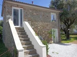 La casina Versilia