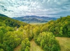 Stary Night - Pickleball Court, Creek, WIFI, Mountain Views, Starting at 50