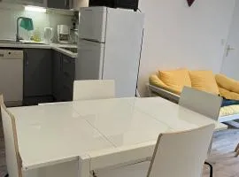 Appartement T2bis rénové, central, 4 pers, proche navettes, casier à ski - FR-1-234-316