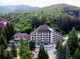 Hotel Bradul - Covasna