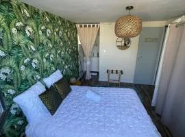 A louer appartement t2