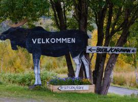 Kongsmark Hytteferie AS