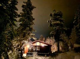 Koselig fjellhytte i Trysil Ski & Turmuligheter, hotel Trysilben