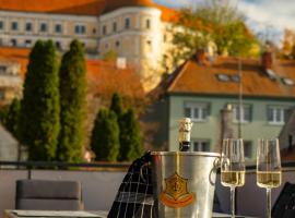 Apartm&aacute;n Podz&aacute;mč&iacute;