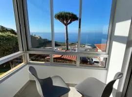 Exotic Ocean View Apartment